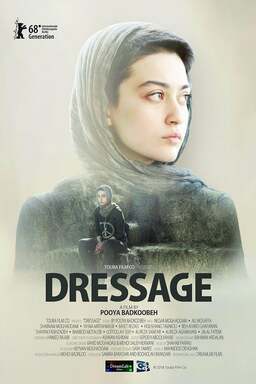 Dressage (missing thumbnail, image: /images/cache/10981.jpg)
