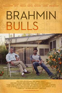 Brahmin Bulls (missing thumbnail, image: /images/cache/109968.jpg)