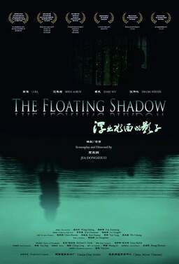 The Floating Shadow (missing thumbnail, image: /images/cache/115702.jpg)
