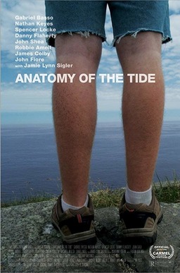 Anatomy of the Tide (missing thumbnail, image: /images/cache/119688.jpg)
