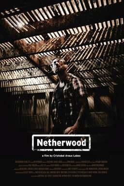 Netherwood (missing thumbnail, image: /images/cache/123880.jpg)