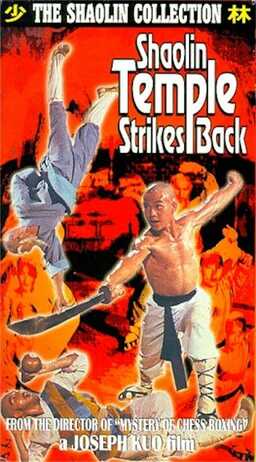 Strikes Back Shaolin Temple (missing thumbnail, image: /images/cache/123896.jpg)