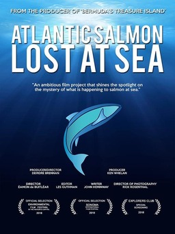 Atlantic Salmon: Lost at Sea (missing thumbnail, image: /images/cache/12634.jpg)