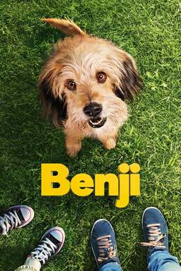 Benji (missing thumbnail, image: /images/cache/127634.jpg)