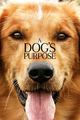 A Dog's Purpose (missing thumbnail, image: /images/cache/130752.jpg)