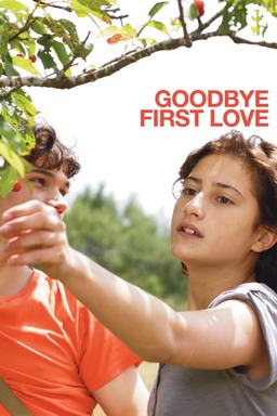 Goodbye First Love (missing thumbnail, image: /images/cache/137644.jpg)