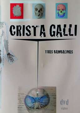 Crista Galli: Tras Bambalinas (missing thumbnail, image: /images/cache/1377.jpg)