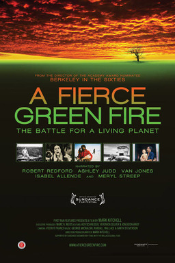A Fierce Green Fire (missing thumbnail, image: /images/cache/141666.jpg)
