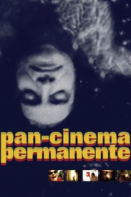 Permanent Pan-Cinema (missing thumbnail, image: /images/cache/141958.jpg)