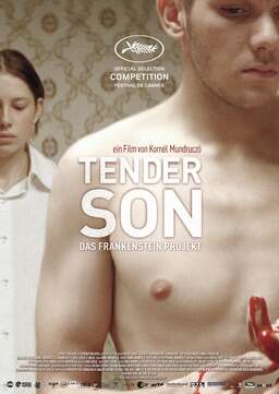 Tender Son: The Frankenstein Project (missing thumbnail, image: /images/cache/143244.jpg)