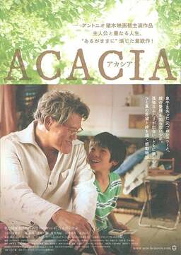 Acacia (missing thumbnail, image: /images/cache/143810.jpg)