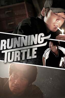 Running Turtle (missing thumbnail, image: /images/cache/143862.jpg)
