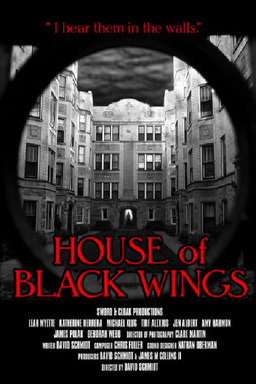 House of Black Wings (missing thumbnail, image: /images/cache/149454.jpg)
