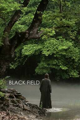 Black Field (missing thumbnail, image: /images/cache/153478.jpg)