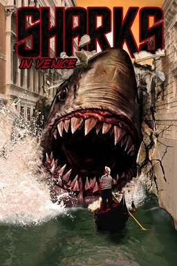 Sharks in Venice (missing thumbnail, image: /images/cache/165772.jpg)
