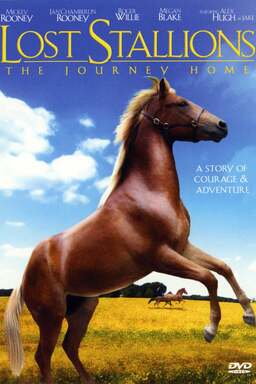 Lost Stallions: The Journey Home (missing thumbnail, image: /images/cache/166478.jpg)