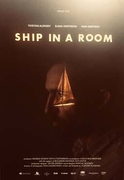 Ship in a Room (missing thumbnail, image: /images/cache/16854.jpg)