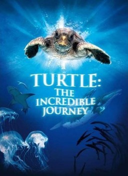 Turtle: The Incredible Journey (missing thumbnail, image: /images/cache/171034.jpg)