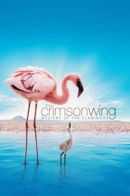 The Crimson Wing: Mystery of the Flamingos (missing thumbnail, image: /images/cache/173278.jpg)