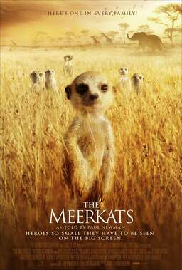 The Meerkats (missing thumbnail, image: /images/cache/174196.jpg)