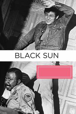 Black Sun (missing thumbnail, image: /images/cache/180032.jpg)