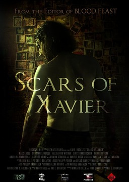 Scars of Xavier (missing thumbnail, image: /images/cache/18330.jpg)