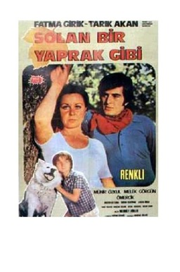 Solan Bir Yaprak Gibi (missing thumbnail, image: /images/cache/184794.jpg)