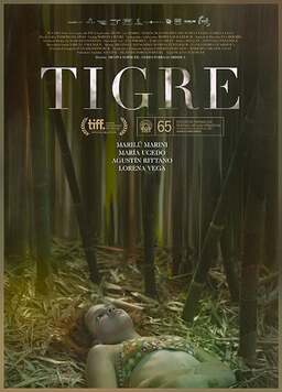 Tigre (missing thumbnail, image: /images/cache/18512.jpg)