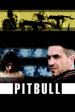 Pitbull (missing thumbnail, image: /images/cache/188142.jpg)