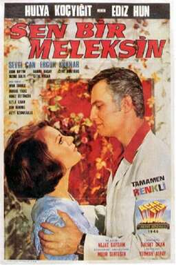 Sen Bir Meleksin (missing thumbnail, image: /images/cache/193804.jpg)