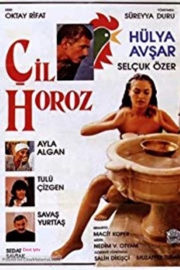 Çil horoz (missing thumbnail, image: /images/cache/194936.jpg)