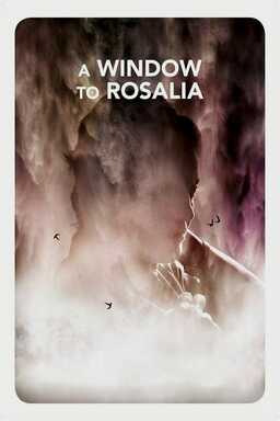 A Window to Rosália (missing thumbnail, image: /images/cache/19650.jpg)