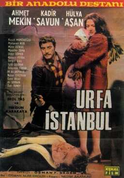 Urfa-Istanbul (missing thumbnail, image: /images/cache/210540.jpg)