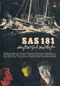 SAS 181 antwortet nicht (missing thumbnail, image: /images/cache/212124.jpg)