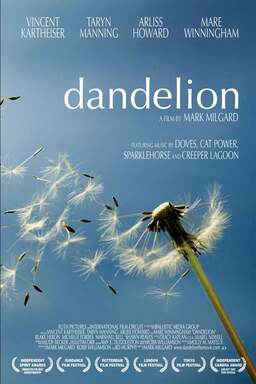 Dandelion (missing thumbnail, image: /images/cache/213772.jpg)