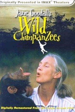 Jane Goodall's Wild Chimpanzees (missing thumbnail, image: /images/cache/216646.jpg)