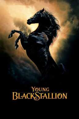 The Young Black Stallion (missing thumbnail, image: /images/cache/217800.jpg)