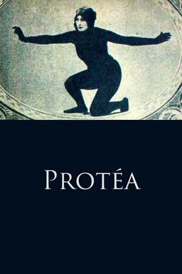 Protéa (missing thumbnail, image: /images/cache/220160.jpg)