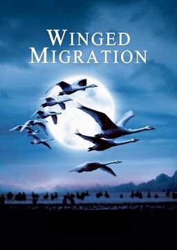 Winged Migration (missing thumbnail, image: /images/cache/222454.jpg)