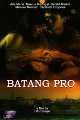 Batang pro (missing thumbnail, image: /images/cache/226462.jpg)