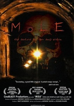 Mole (missing thumbnail, image: /images/cache/229388.jpg)