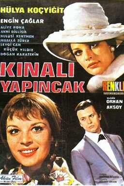 Kınalı Yapıncak (missing thumbnail, image: /images/cache/230330.jpg)