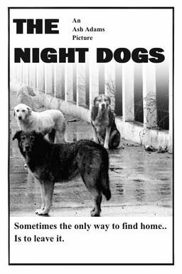 The Night Dogs (missing thumbnail, image: /images/cache/23178.jpg)