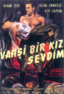 Vahşi Bir Kız Sevdim (missing thumbnail, image: /images/cache/236064.jpg)