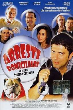 Arresti domiciliari (missing thumbnail, image: /images/cache/237450.jpg)