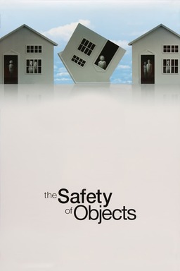 The Safety of Objects (missing thumbnail, image: /images/cache/239534.jpg)