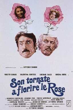 Son tornate a fiorire le rose (missing thumbnail, image: /images/cache/242972.jpg)