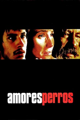 Amores Perros (missing thumbnail, image: /images/cache/243646.jpg)