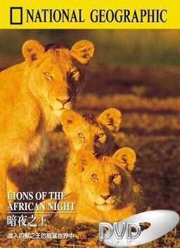 Lions of the African Night (missing thumbnail, image: /images/cache/255634.jpg)