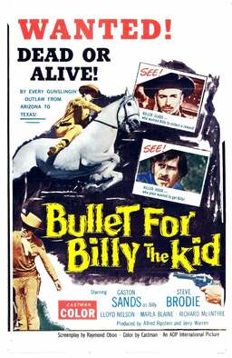 A Bullet for Billy the Kid (missing thumbnail, image: /images/cache/256128.jpg)